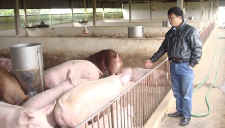 Nong dan dang bi doanh nghiep ngoai bop nghet hinh anh