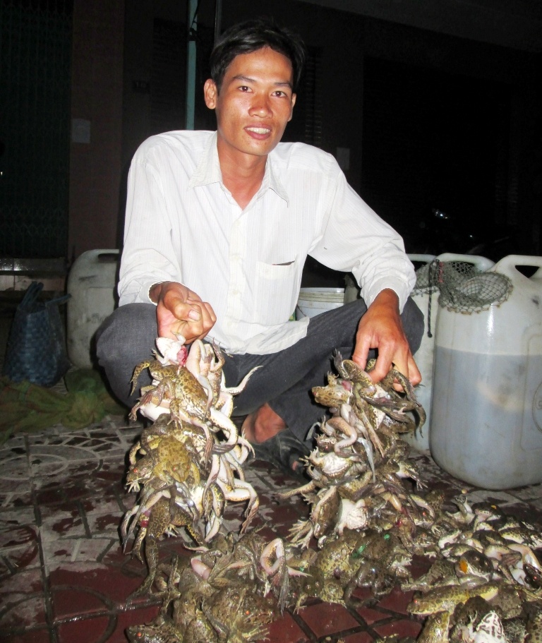 Ông Nguyễn Văn Chính, một bạn hàng mua cá, ếch tại chợ Kinh Cùng – Hậu Giang cho biết: Chợ thủy sản ở đây hoạt động từ 2 giờ đến 4 giờ sáng. Mỗi ngày hàng tấn ếch, cá, tép, lươn….được mua bán tại đây. Mỗi bạn hàng thu mua từ 50 đến 200 kg ếch mỗi buổi chợ, rồi đem đi giao khắp nơi ở các quán ăn và nhà hàng.