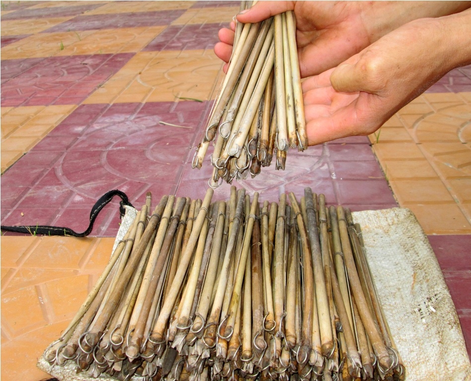 Lưỡi câu ếch được tóm vào sợi dây nilông 25 cm rồi buộc vào thân cây trúc nhỏ được cắt thành đoạn 25 cm.