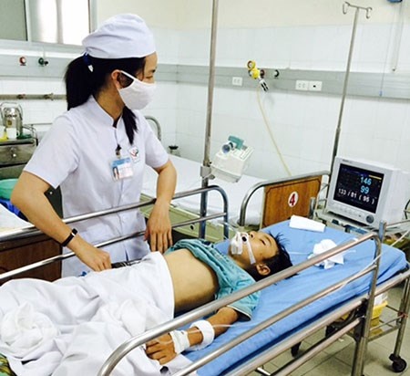 Tin thay lang, nan nhan bi ran ho meo can dang nguy kich hinh anh