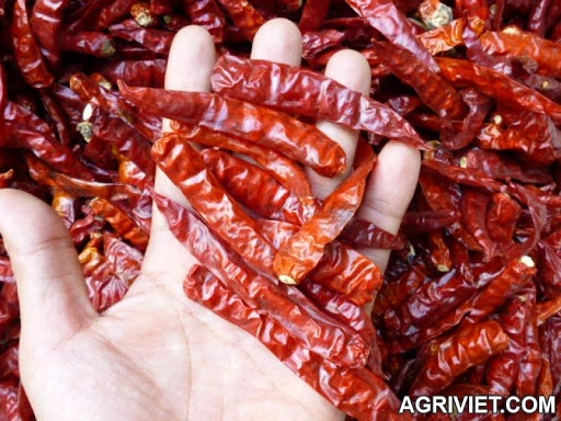 Chính vì vậy, hãy cân nhắc kỹ việc bỏ ớt khô vào lò để sấy nhé.