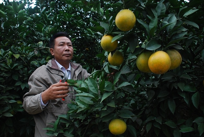 Huyen co tren 5.000 trieu phu hinh anh