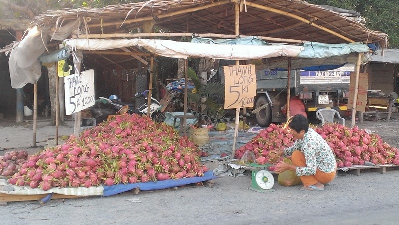 The tham thanh long 2.000 dong/kg ban day duong hinh anh