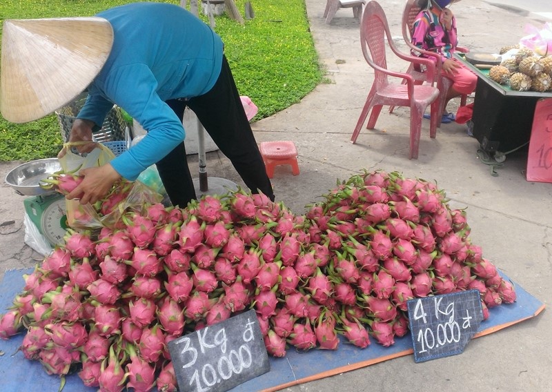 Trong khi đó, cũng tại Tân An, có nơi thanh long bán 10.000 đồng/3kg.