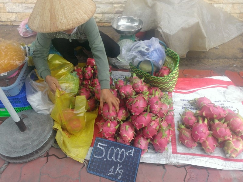 Một điểm bán thanh long với giá 5.000 đồng/kg được xem là “cao” .