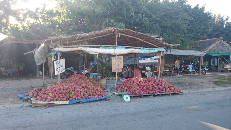 Dù giá thanh long thấp nhưng người dân cũng ít mua.