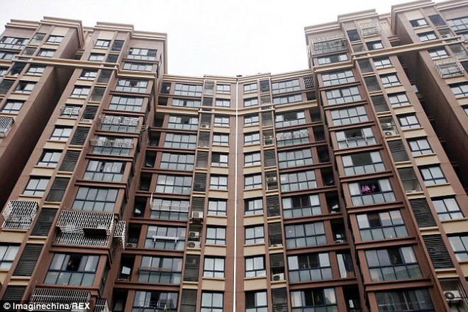 Toàn cảnh hai tòa nhà.