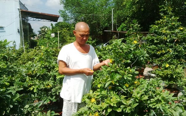 'Phu thuy' trong mai ghep ra tien ty hinh anh