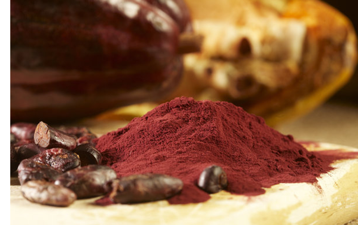 Công ty dược phẩm Mars của Mỹ đã chiết xuất thành công chất flavanol từ hạt cacao tươi.