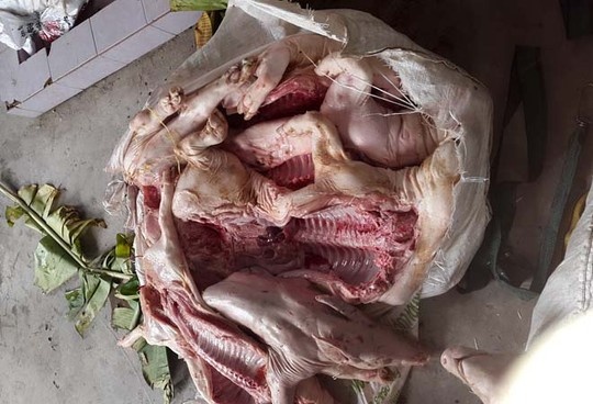 On lanh heo thoi nguy trang bang la chuoi hinh anh