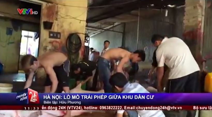 Rung minh lo mo gia suc lo thien, mat ve sinh o Ha Noi hinh anh