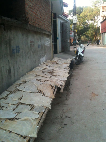 Bì lợn được phơi ngay ngoài đường.