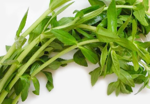 Nếu bệnh trĩ đi cầu phân táo cứng, người nóng, tốt nhất nên chọn món ăn bài thuốc có tác dụng bổ mát, nhuận trường, tiêu viêm. Món ngon từ cháo lươn rau ngổ: Lươn 1 - 2 con 100g làm sạch, gạo ngon 100g, đậu xanh 100g, rau ngổ 30g, mùi tàu 50g, gia vị nấu cháo ăn.