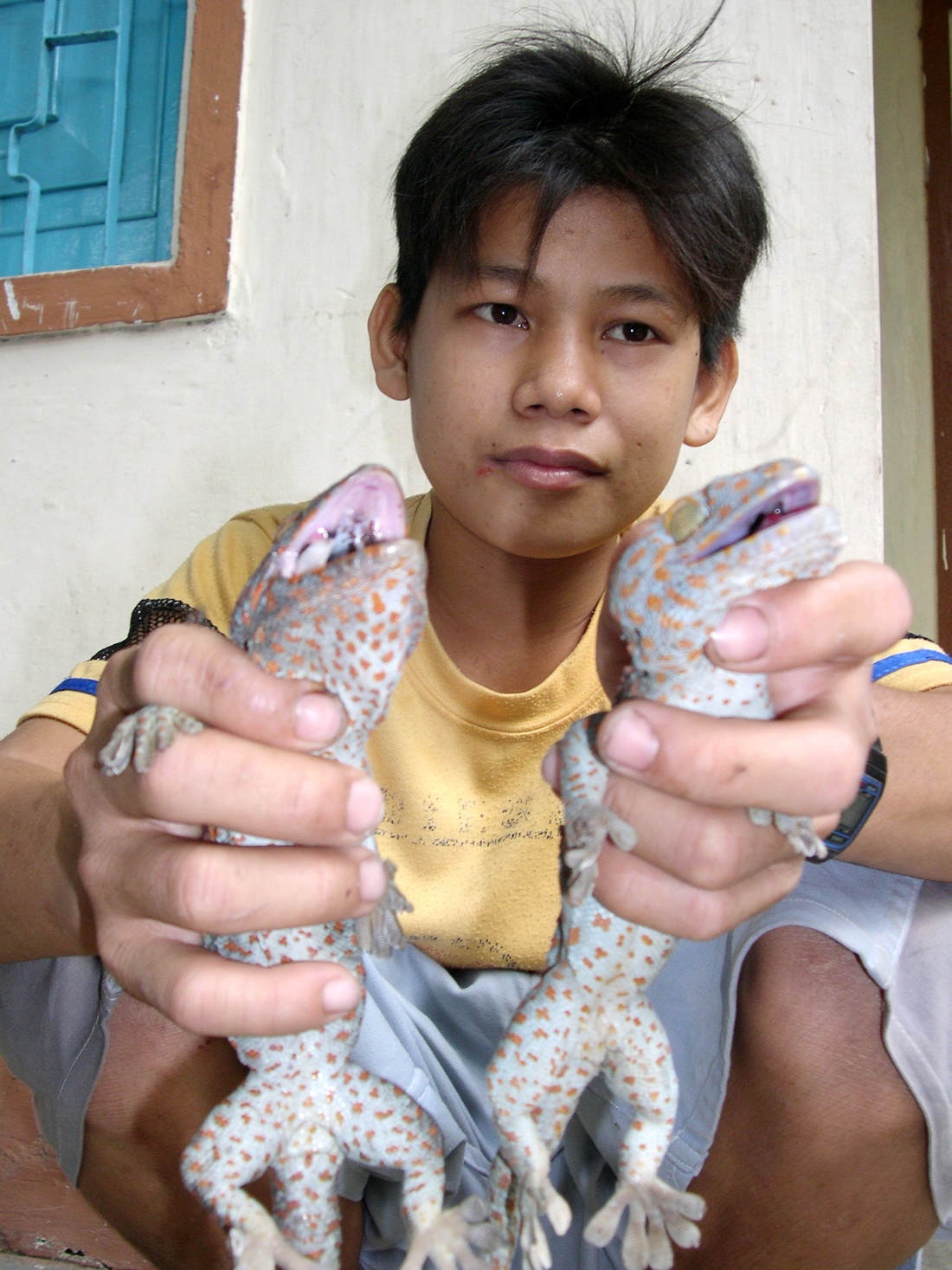 Kiem tien voi nghe dang so: Song khoe cung tac ke, ran moi hinh anh