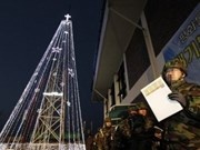 Han Quoc tai xay dung 'cay Giang sinh' gan Trieu Tien hinh anh