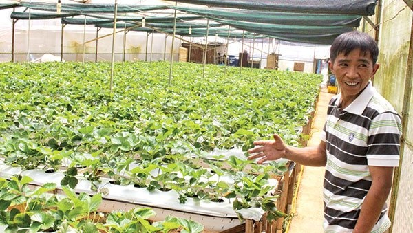 Chuyen trai dau tay hinh anh