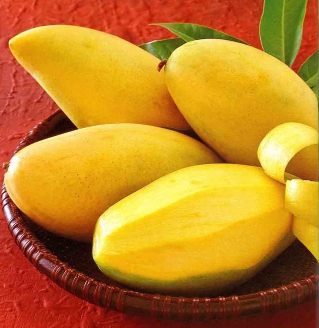 Nhan dien nhung loai qua hay 'ngam' thuoc doc hinh anh