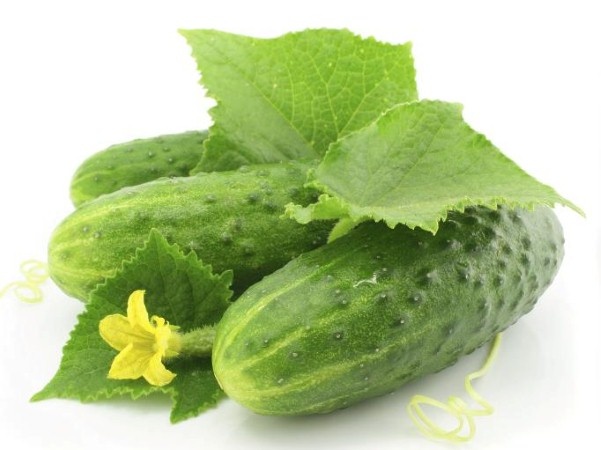 Dưa chuột tốt cho sức khỏe răng miệng: Để không ngừng bảo vệ và nâng cao sức khỏe răng miệng, việc làm đầu tiên và đơn giản nhất là hãy ăn dưa chuột tươi mỗi ngày.