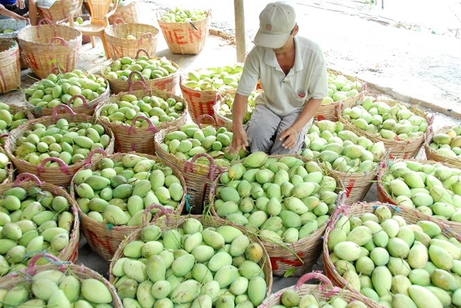 Trai cay nghich vu: Hot bac hinh anh