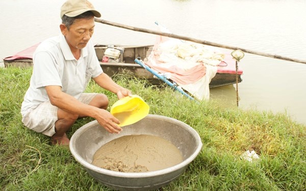 Hot bac voi nghe nuoi trung nuoc lam thuc an cho ca hinh anh