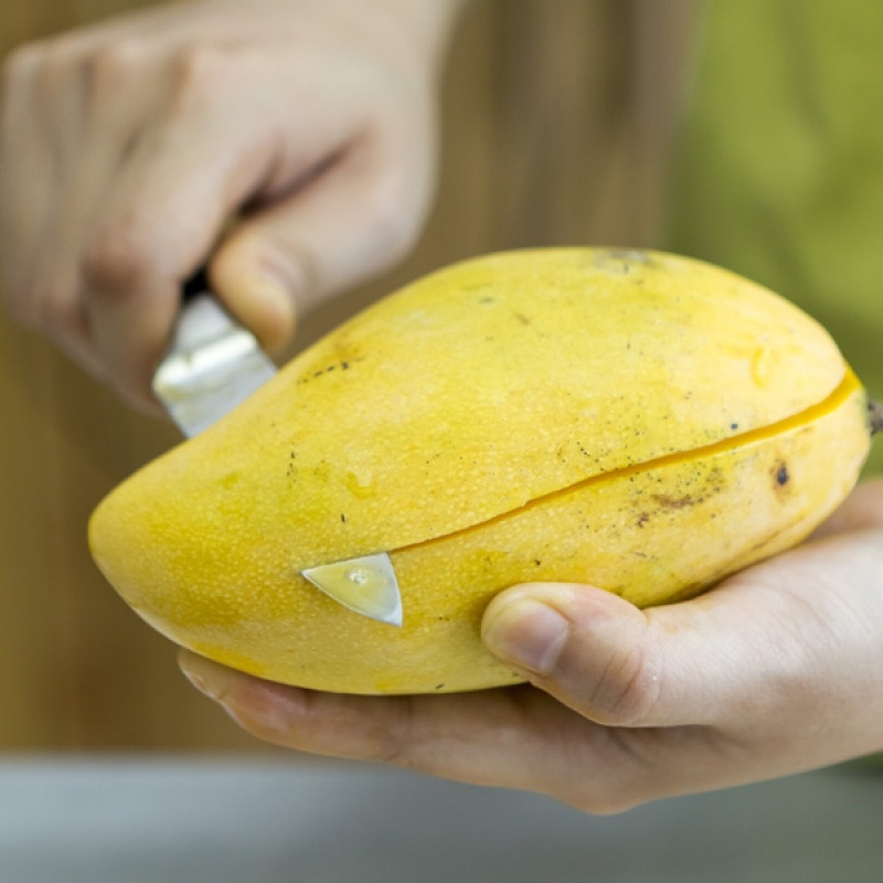 Hàm lượng cao vitamin C, pectin và chất xơ được tìm thấy trong xoài có tác dụng làm giảm nồng độ cholesterol trong huyết thanh, đặc biệt là cải thiện tình trạng rối loạn mỡ trong máu.