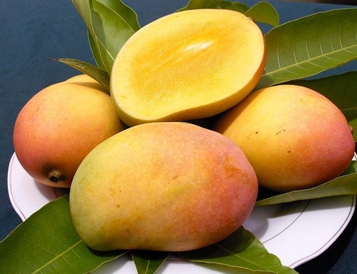 Hàm lượng lớn vitamin A và vitamin C trong trái xoài, cùng với 26 loại carotenoids khác nhau có tác dụng duy trì sự bền vững và khỏe mạnh của hệ thống miễn dịch.