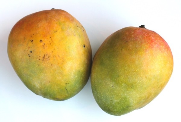 Các hợp chất này là isoquercitrin, quercetin, fisetin, astragalin, methylgallat, axit gallic cũng như các enzim khác.