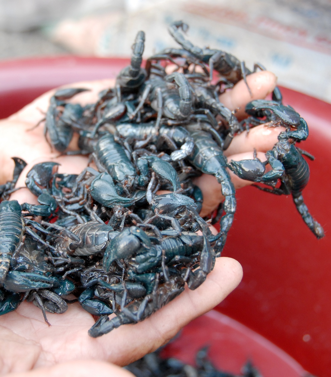 Kiem tien voi nghe dang so: Tay khong bat bo cap hinh anh