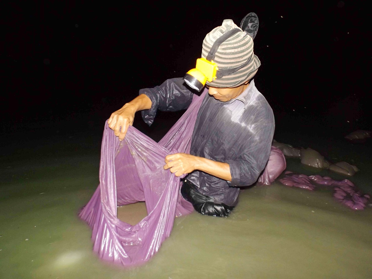 Nhat bac le voi nghe loi song xuc trung nuoc o mien Tay hinh anh