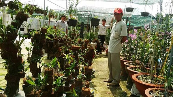 Vuon lan 'doc' vo gia giua Sai thanh hinh anh