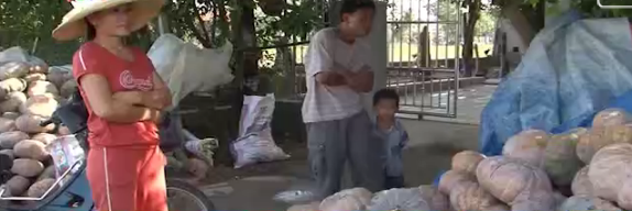 Nguoi trong bi ngo lam canh mat mua, mat gia hinh anh