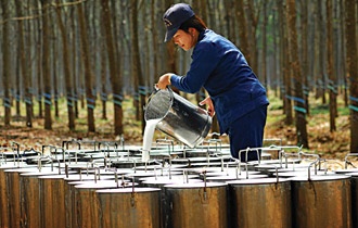 'Vang trang' van duc hinh anh