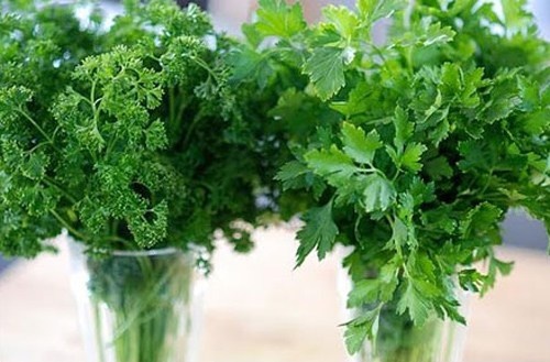 Meo hay chua nhiet mieng khi bi nong trong hinh anh