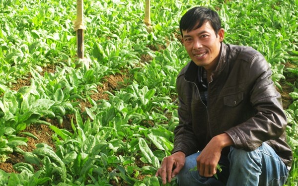 Ong chu vuon rau tien ty nuoi quyet tam... 'ham' den cung hinh anh