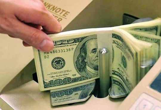 Kieu hoi gui ve Viet Nam duoc dung vao viec gi? hinh anh