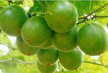 9 bai thuoc chua benh khan tieng hinh anh