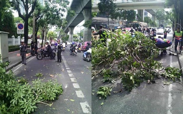 Hiện trường vụ cành cây đổ trúng đoàn xe hộ tống Thủ tướng Prayuth Chan-ocha.