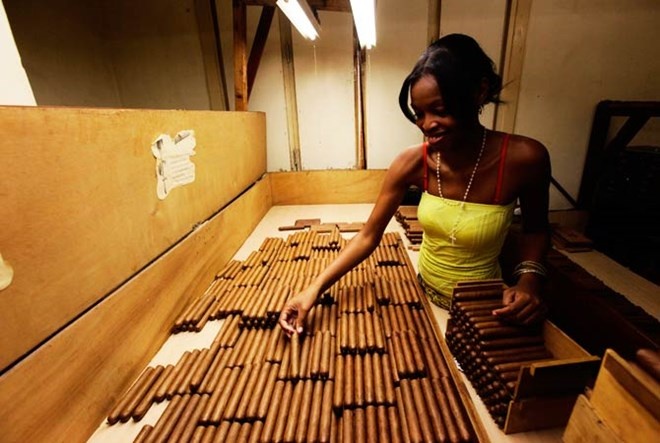 Xì gà Cuba sẽ có cơ hội vào thị trường Mỹ.