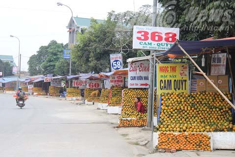 Chuyen ngac nhien o vung nui nong dan bong thanh ty phu hinh anh