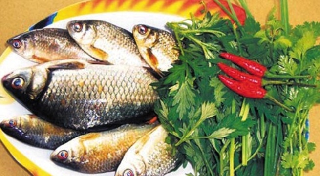 An ca de song khoe hinh anh