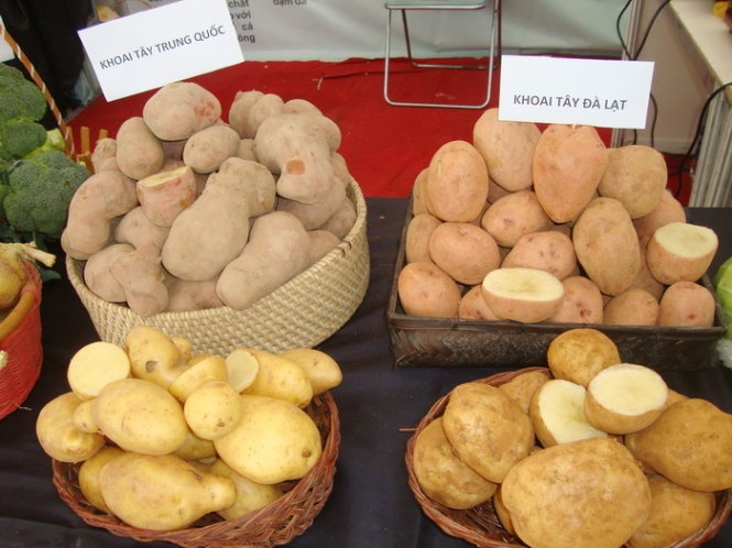 Trung bay so sanh rau Da Lat va Trung Quoc hinh anh