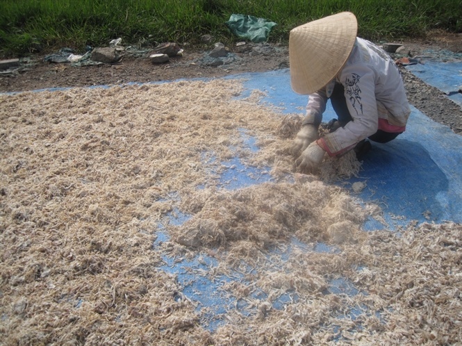 Da trâu, bò dạng sợi có hình dáng quá giống với mực xé... Đọc thêm tại: http://nongnghiep.vn/phat-hien-4-tan-da-bo-dang-soi-giong-het-muc-xe-post136670.html | NongNghiep.vn