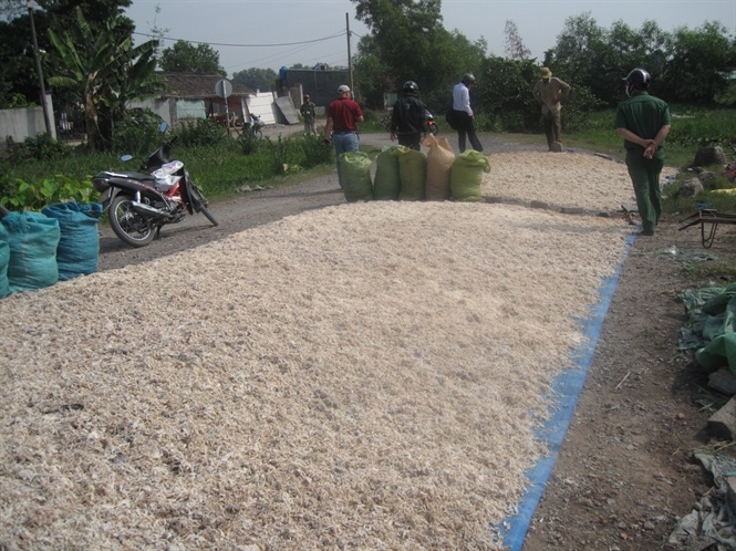 Phat hien 4 tan da bo dang soi giong het muc xe hinh anh