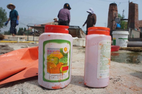 Chất carmine được các gian thương dùng để nhuộm màu cho tôm khô.