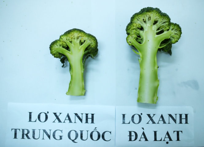 Hình dạng khi cắt ra.