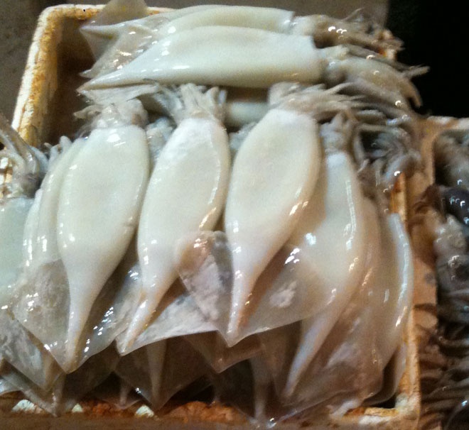 Vach tran duong day tay trang, tieu thu muc ban hinh anh