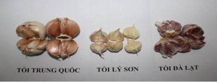 Hình dạng bên trong.