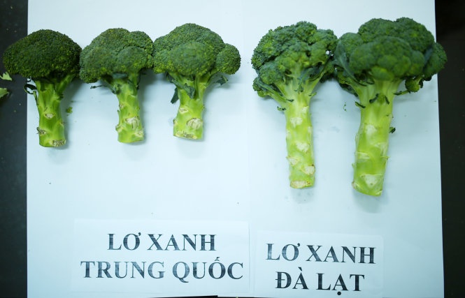 Nhìn từ bên ngoài súp lơ Đà Lạt có thân và phần bông to vượt trội so với súp lơ Trung Quốc. Phần bông súp lơ Đà Lạt không đồng đều.