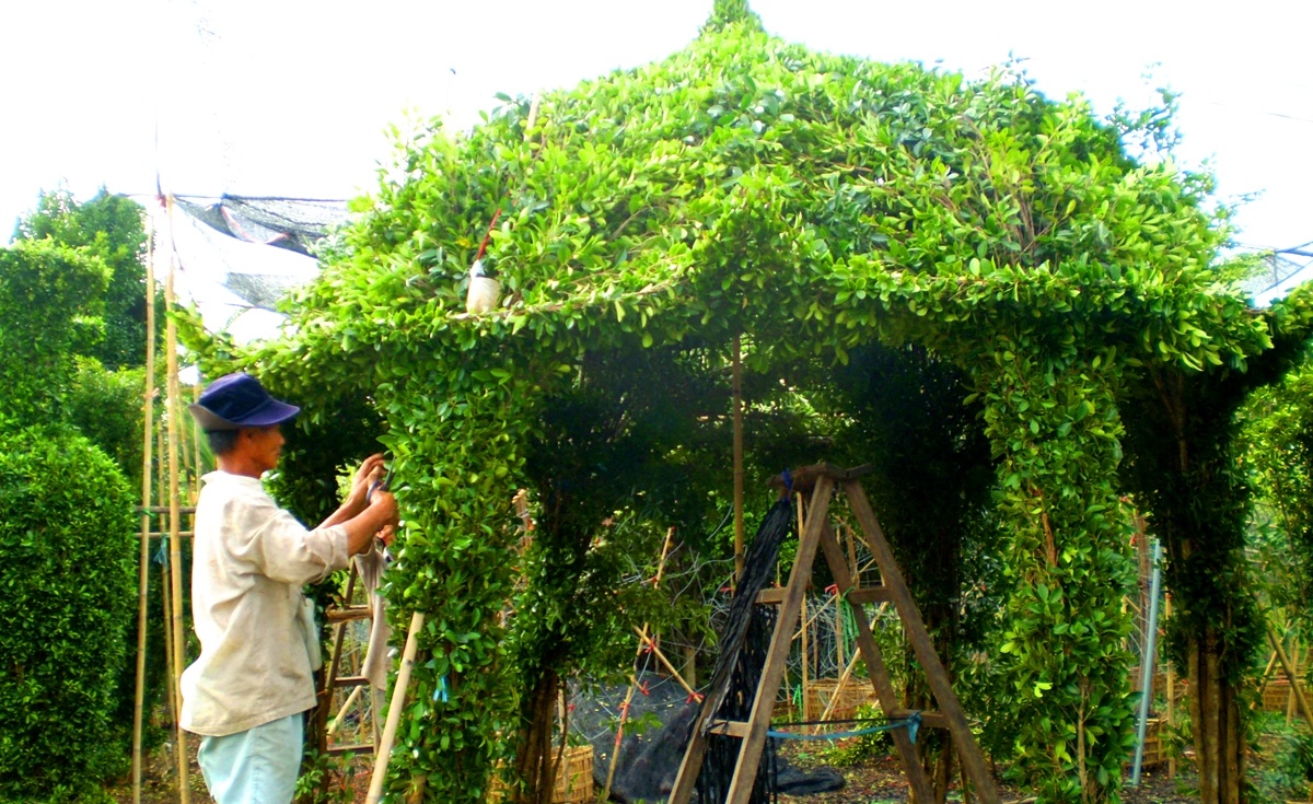 Nghe nhan sua kieng mien Tay kiem hon trieu moi ngay mua Tet hinh anh