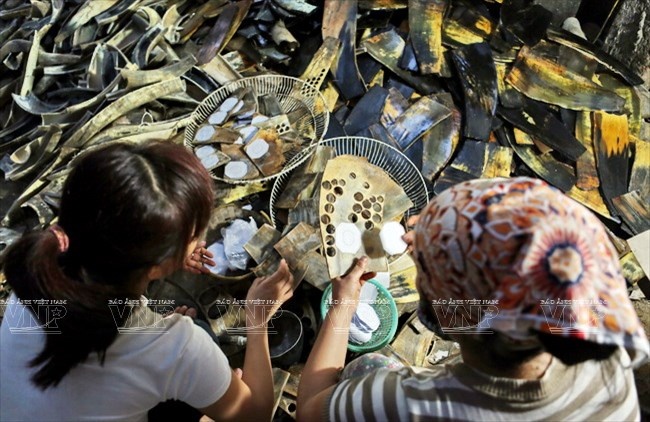 Công nhân sơ chế nguyên liệu tại xưởng sản xuất của gia đình anh Nguyễn Văn Long ở làng nghề Thụy Ứng. 